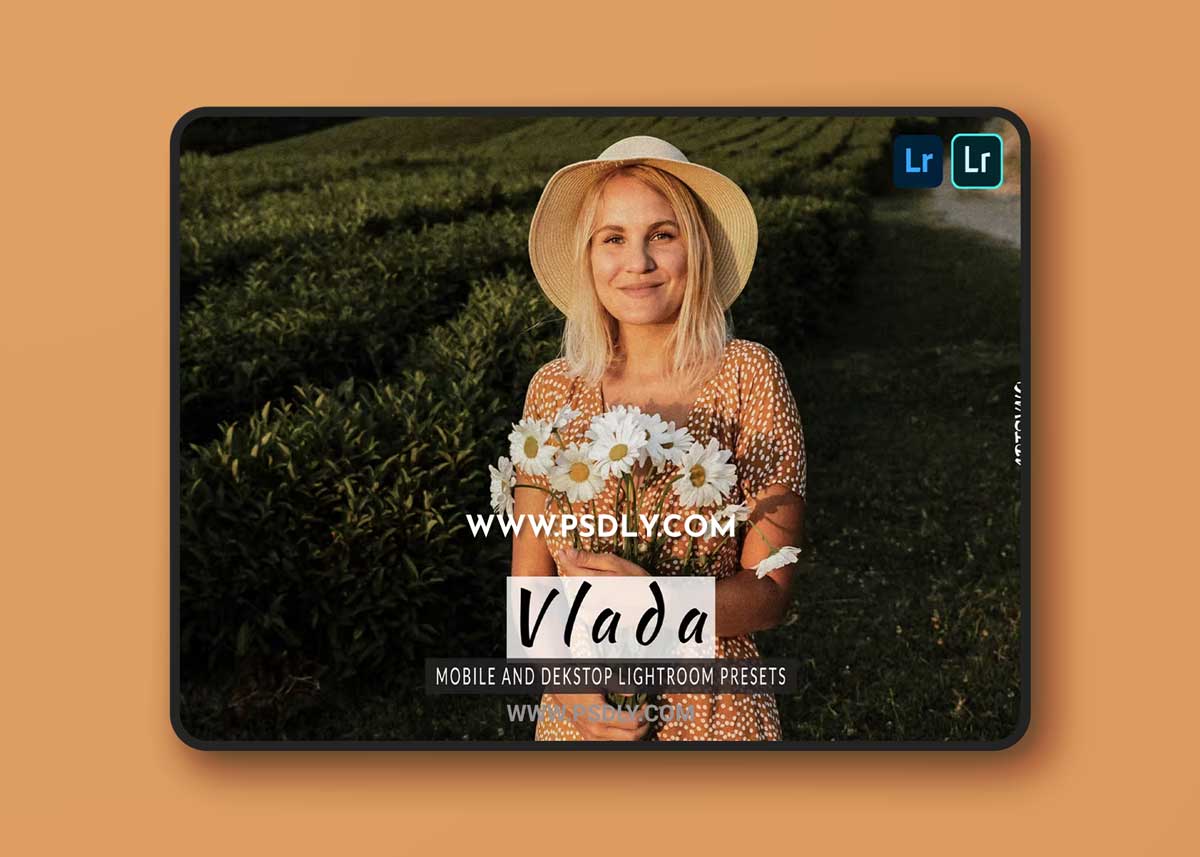 Vlada Lightroom Presets Dekstop and Mobile 1 Vlada Lightroom Presets Dekstop and Mobile