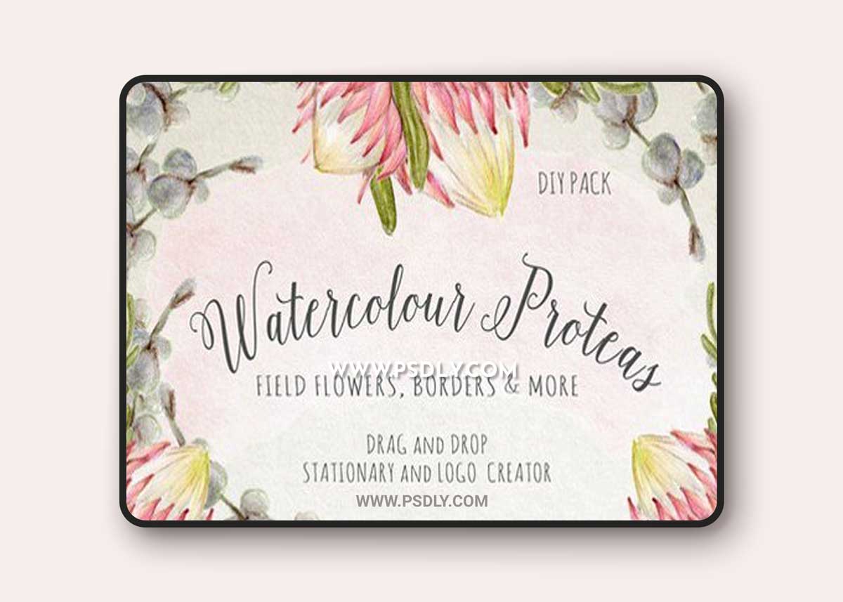 Watercolour Protea Flower DIY Pack 1 Watercolour Protea Flower DIY Pack