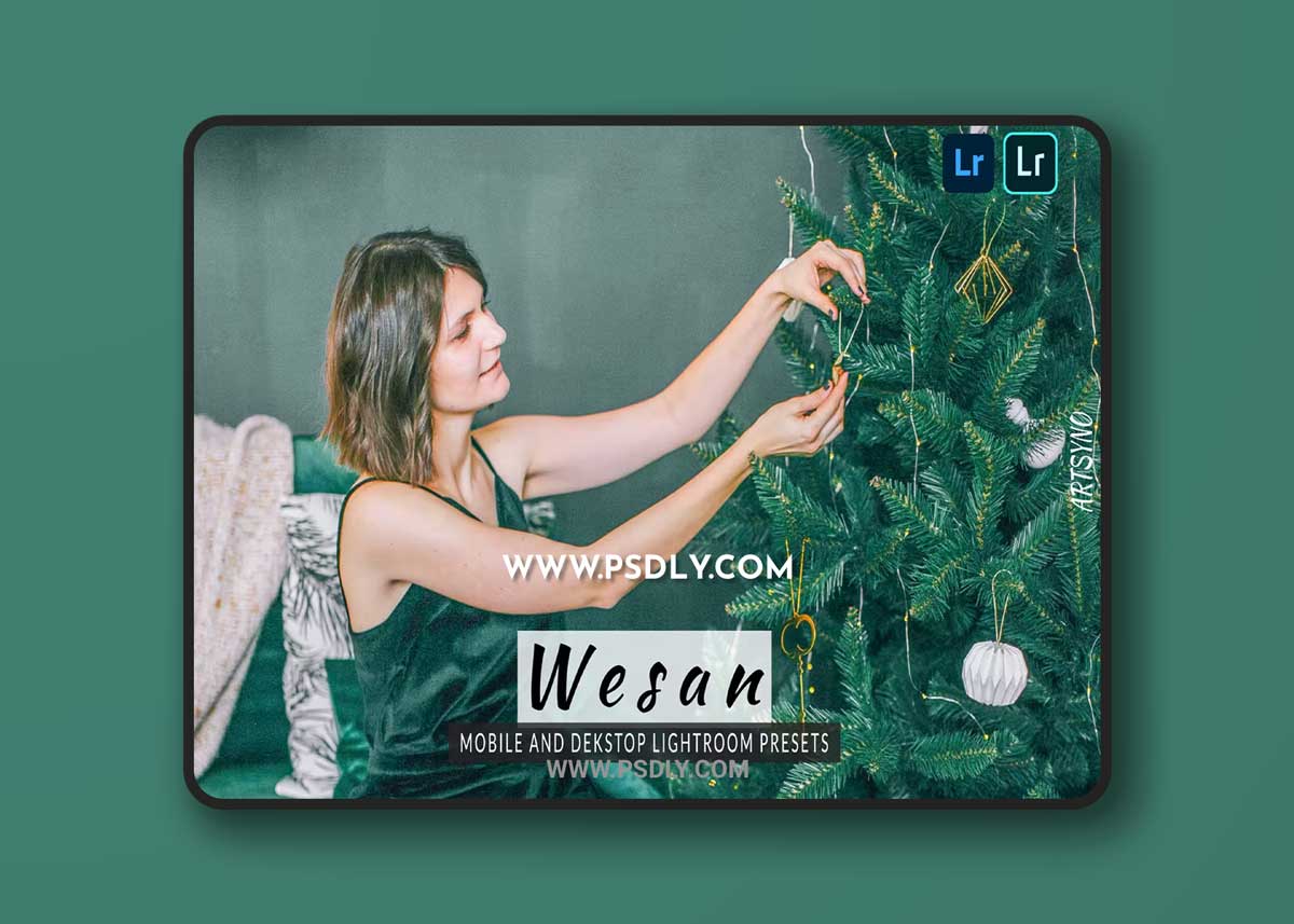 Wesan Lightroom Presets Dekstop and Mobile 1 Wesan Lightroom Presets Dekstop and Mobile