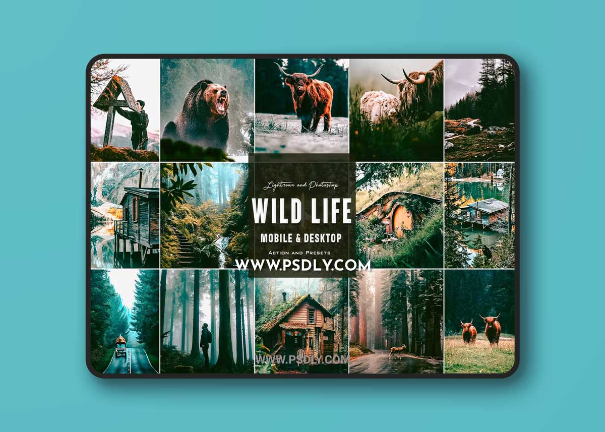 Wild Life - Photoshop Actions & Lightroom Presets 1 Wild Life - Photoshop Actions & Lightroom Presets