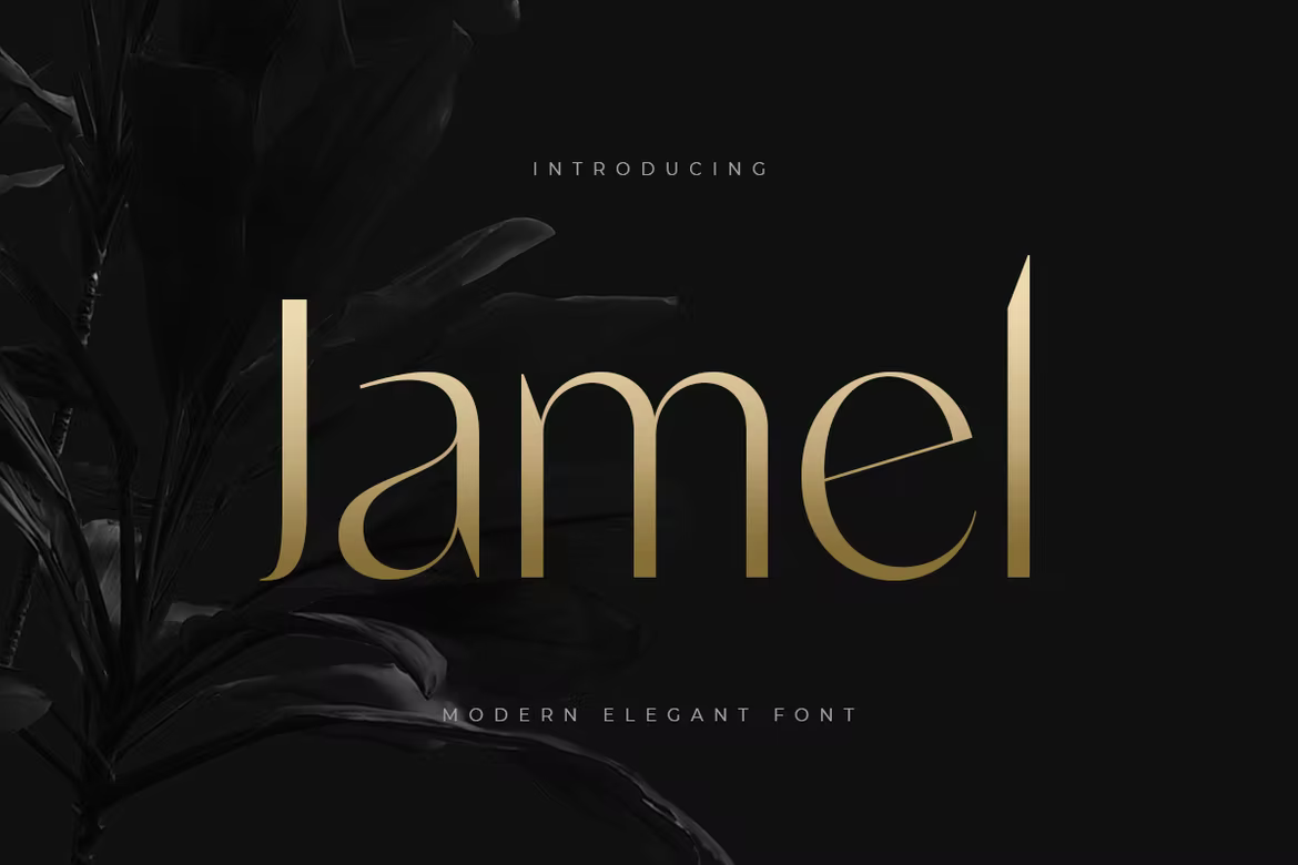 Jamel - Modern Elegant Font 1 Jamel - Modern Elegant Font
