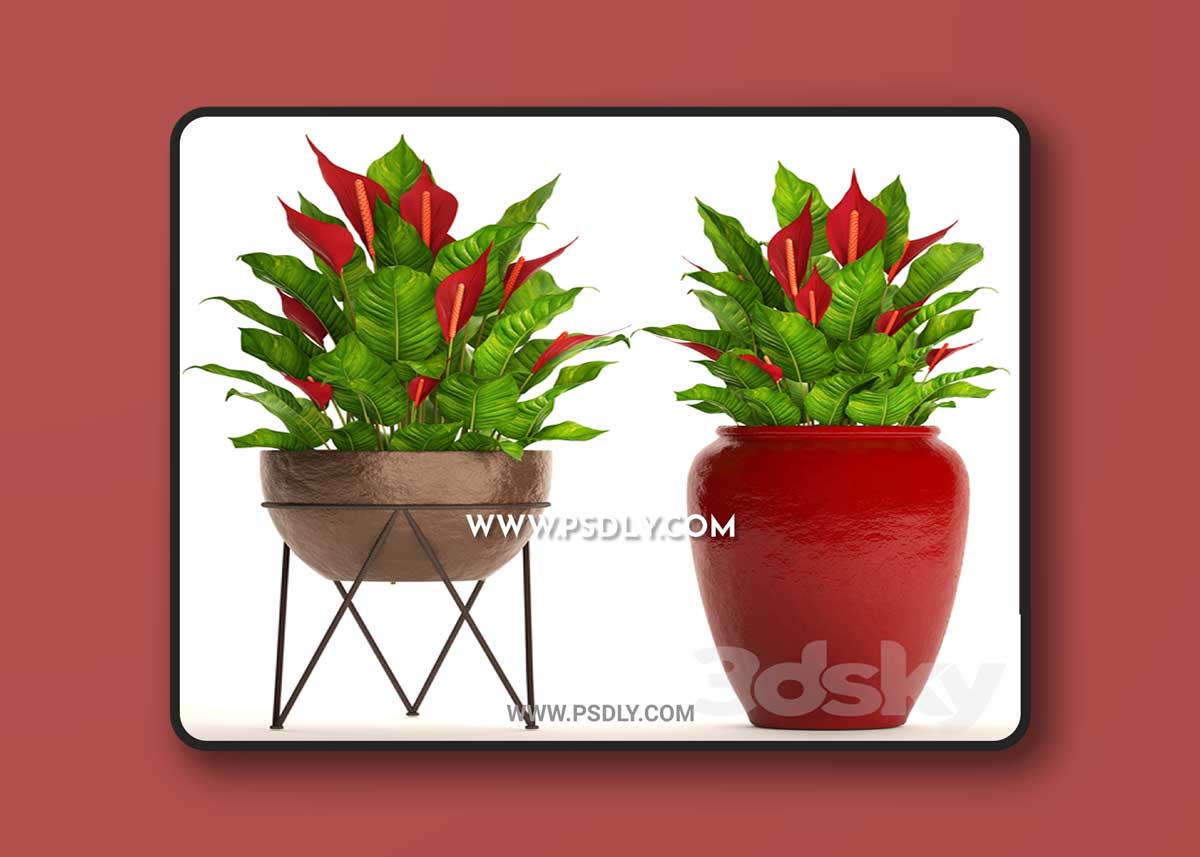 A collection of plants in pots. 55 RED 3D Model 1 A collection of plants in pots. 55 RED 3D Model