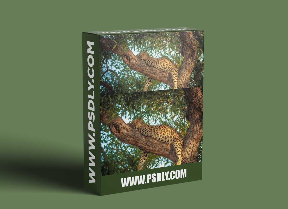 Advanced Photo Retouching in Adobe Photoshop 2020 1 Advanced Photo Retouching in Adobe Photoshop 2020