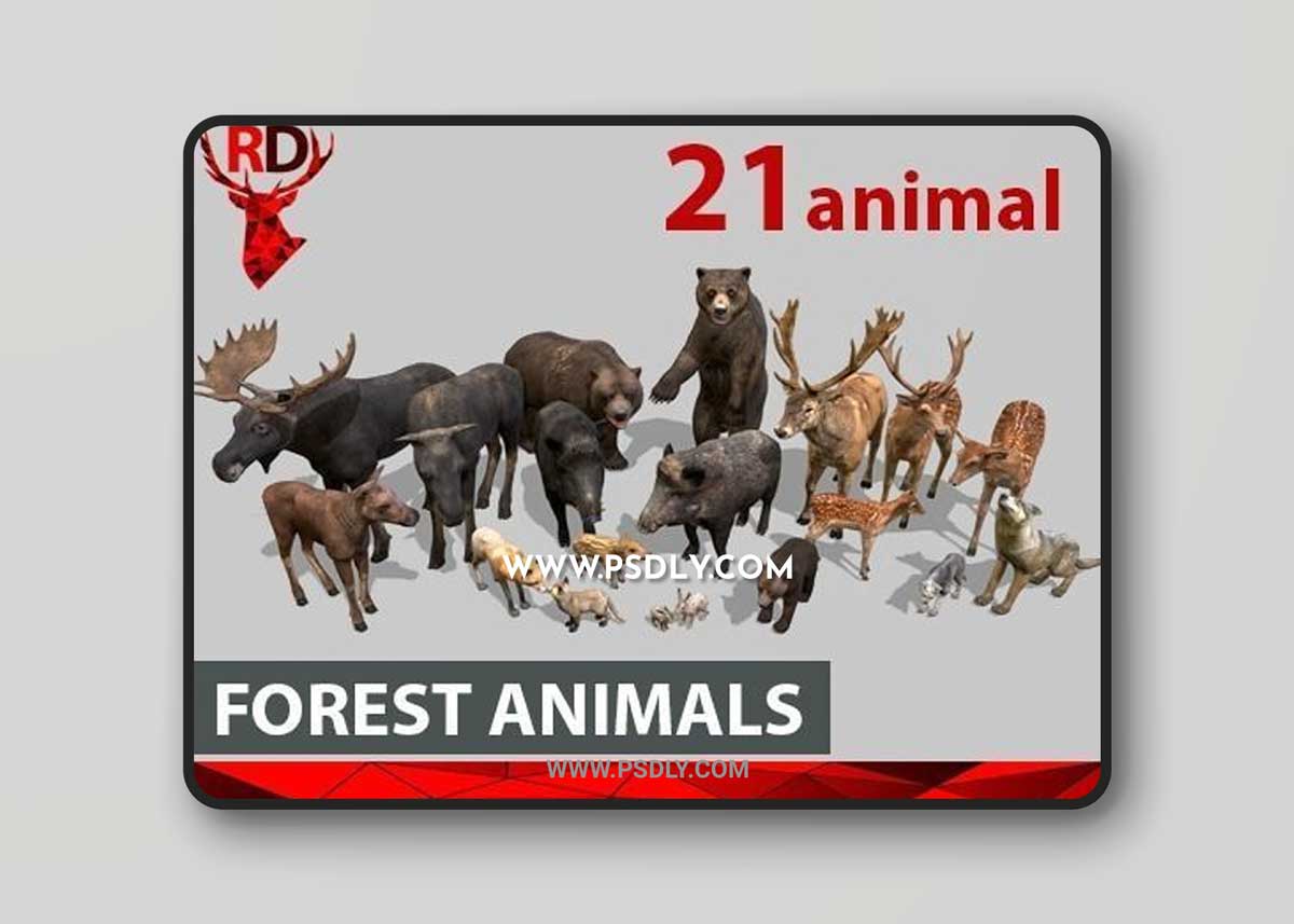 CGTrader - Animated Forest animals pack 3D Model 1 CGTrader - Animated Forest animals pack 3D Model