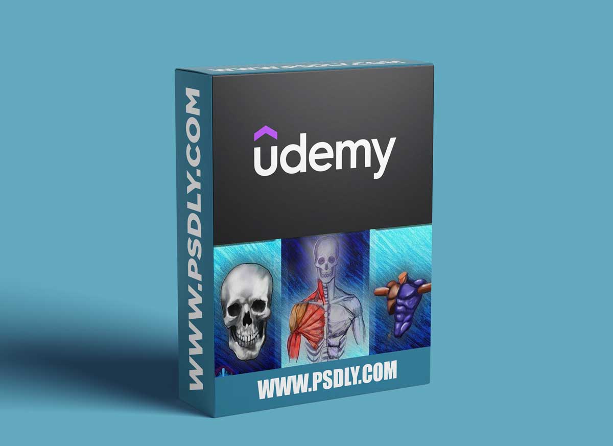 Complete Beginner's Guide to Anatomy and Figure Drawing pt1 1 Complete Beginner's Guide to Anatomy and Figure Drawing pt1