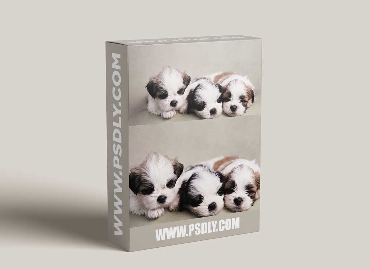 CreativeLive - Posing For Puppies by Kelly Brown, Jade Schofield 1 CreativeLive - Posing For Puppies by Kelly Brown, Jade Schofield