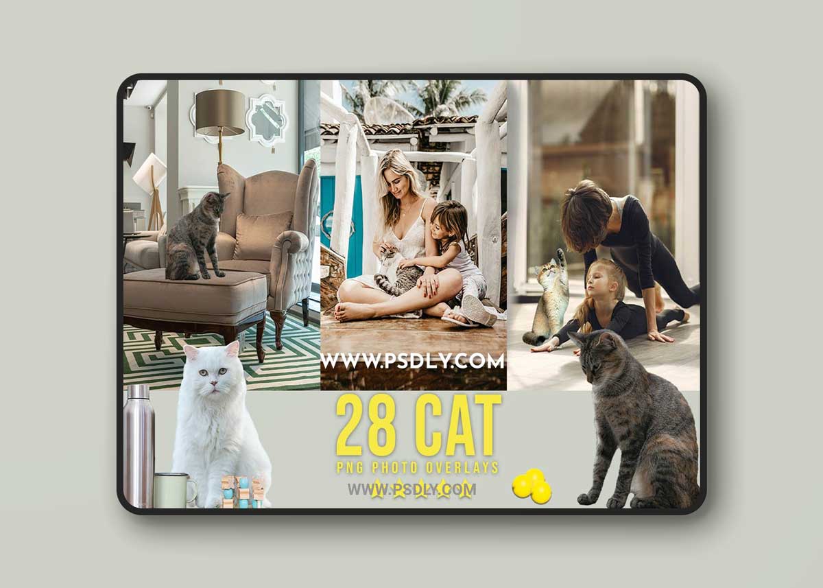 CreativeMarket - 28 Cat Photoshop Overlays 6737913 1 CreativeMarket - 28 Cat Photoshop Overlays 6737913