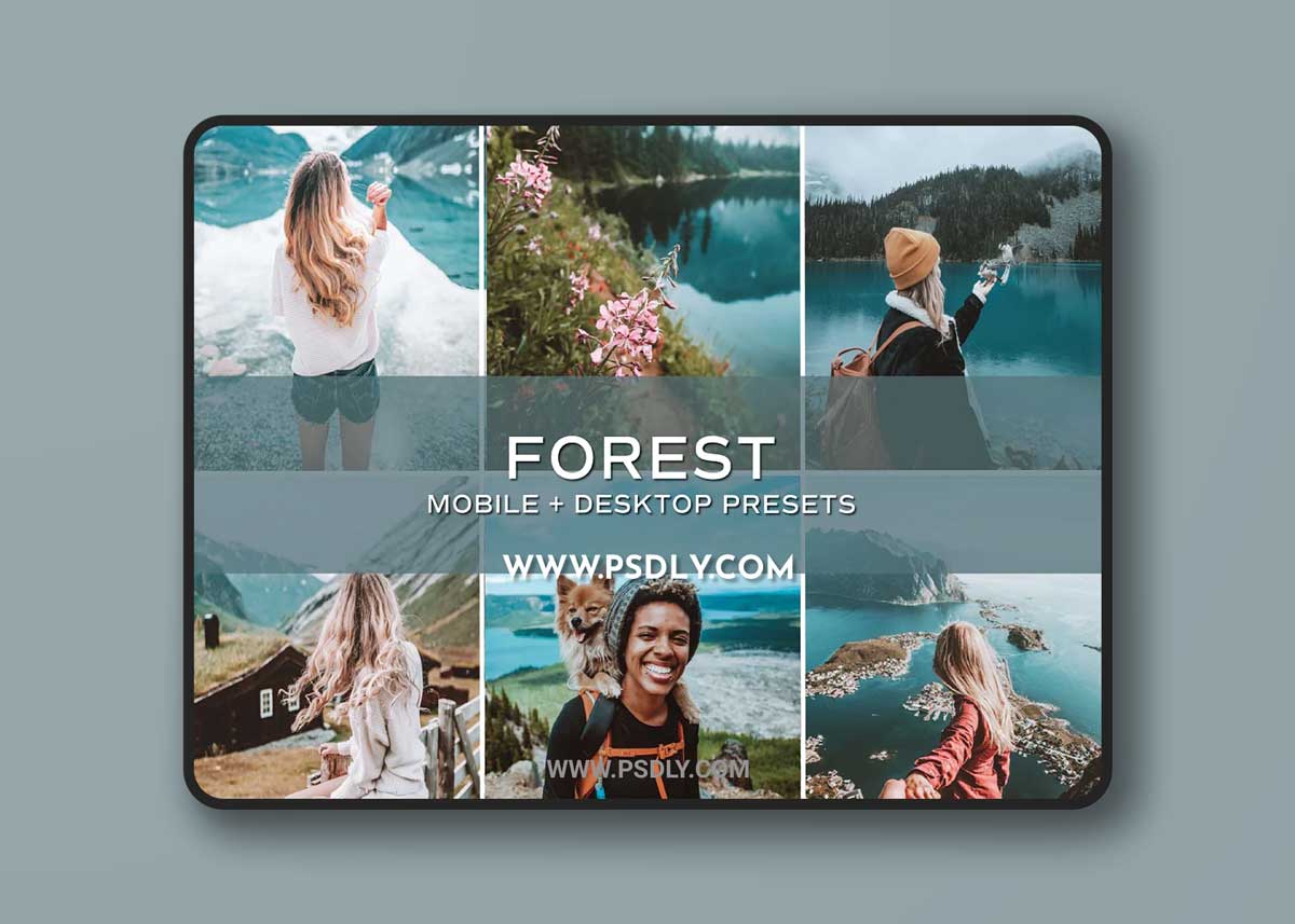CreativeMarket - 5 Forest Lightroom Presets 5699079 1 CreativeMarket - 5 Forest Lightroom Presets 5699079