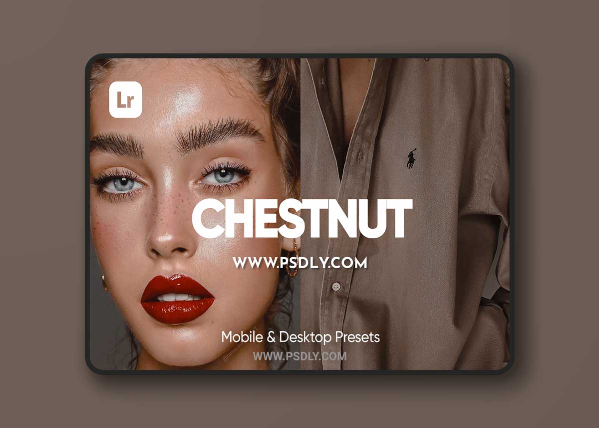 CreativeMarket - 6 CHESTNUT LIGHTROOM PRESETS 6734081 1 CreativeMarket - 6 CHESTNUT LIGHTROOM PRESETS 6734081