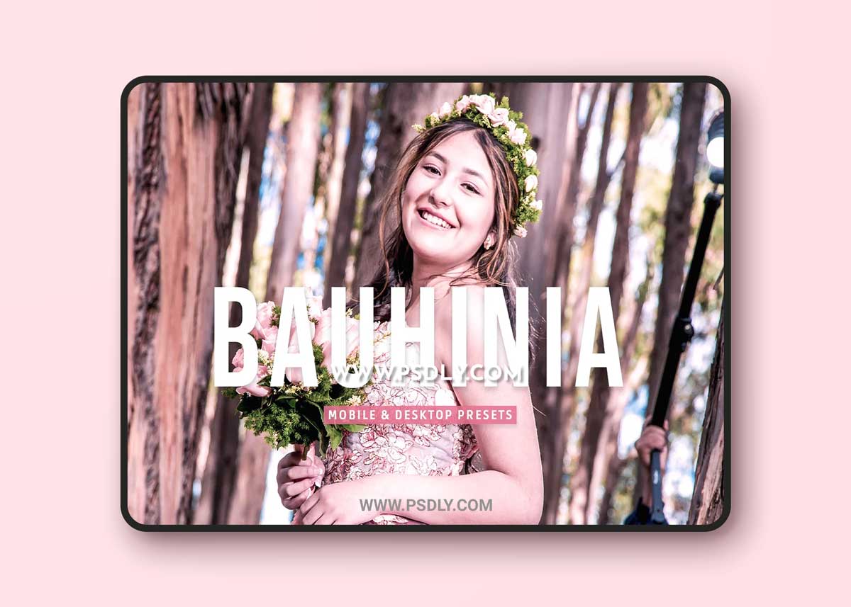 CreativeMarket - Bauhinia Pro Lightroom Presets 7003225 1 CreativeMarket - Bauhinia Pro Lightroom Presets 7003225
