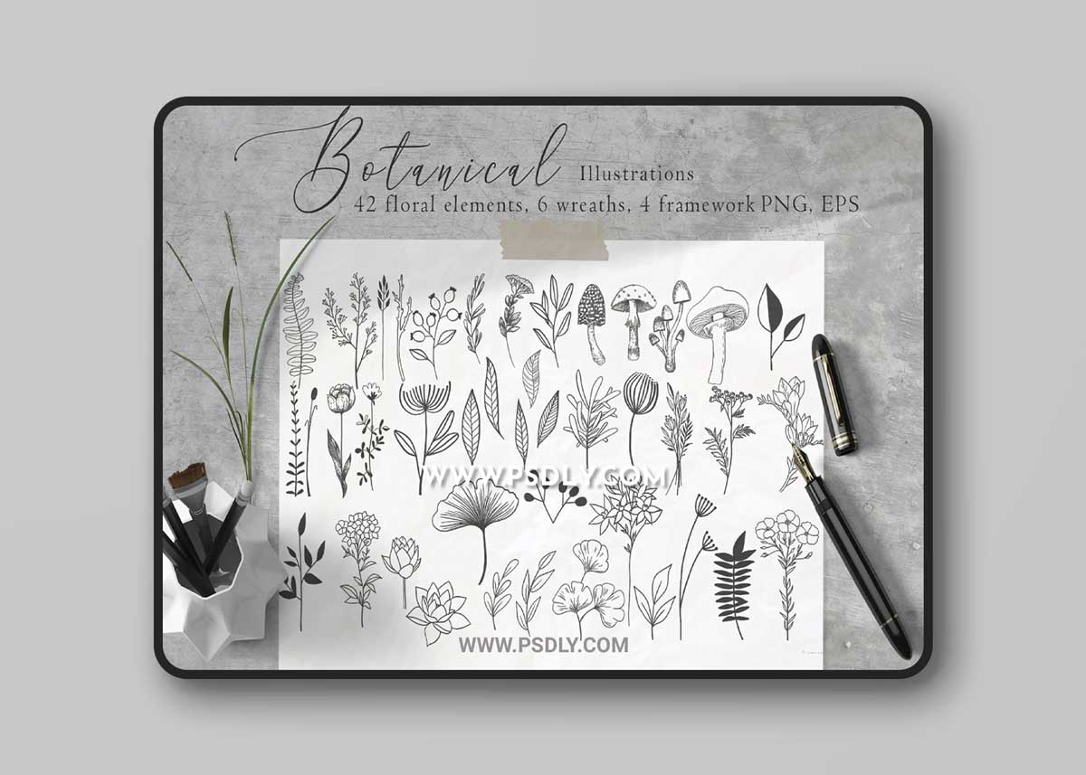 CreativeMarket - Floral Botanical Illustrations 4479176 1 CreativeMarket - Floral Botanical Illustrations 4479176