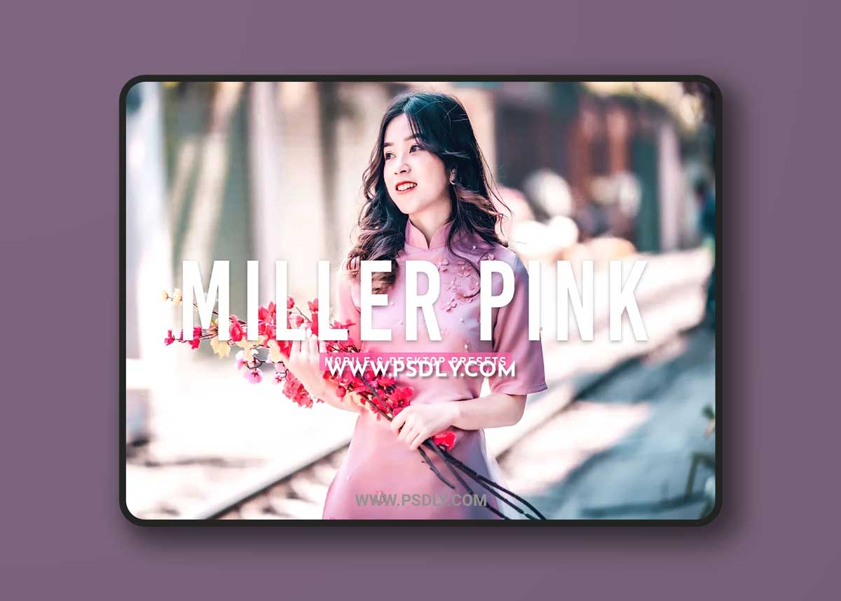 CreativeMarket - Miller Pink Pro Lightroom Presets 6924889 1 CreativeMarket - Miller Pink Pro Lightroom Presets 6924889