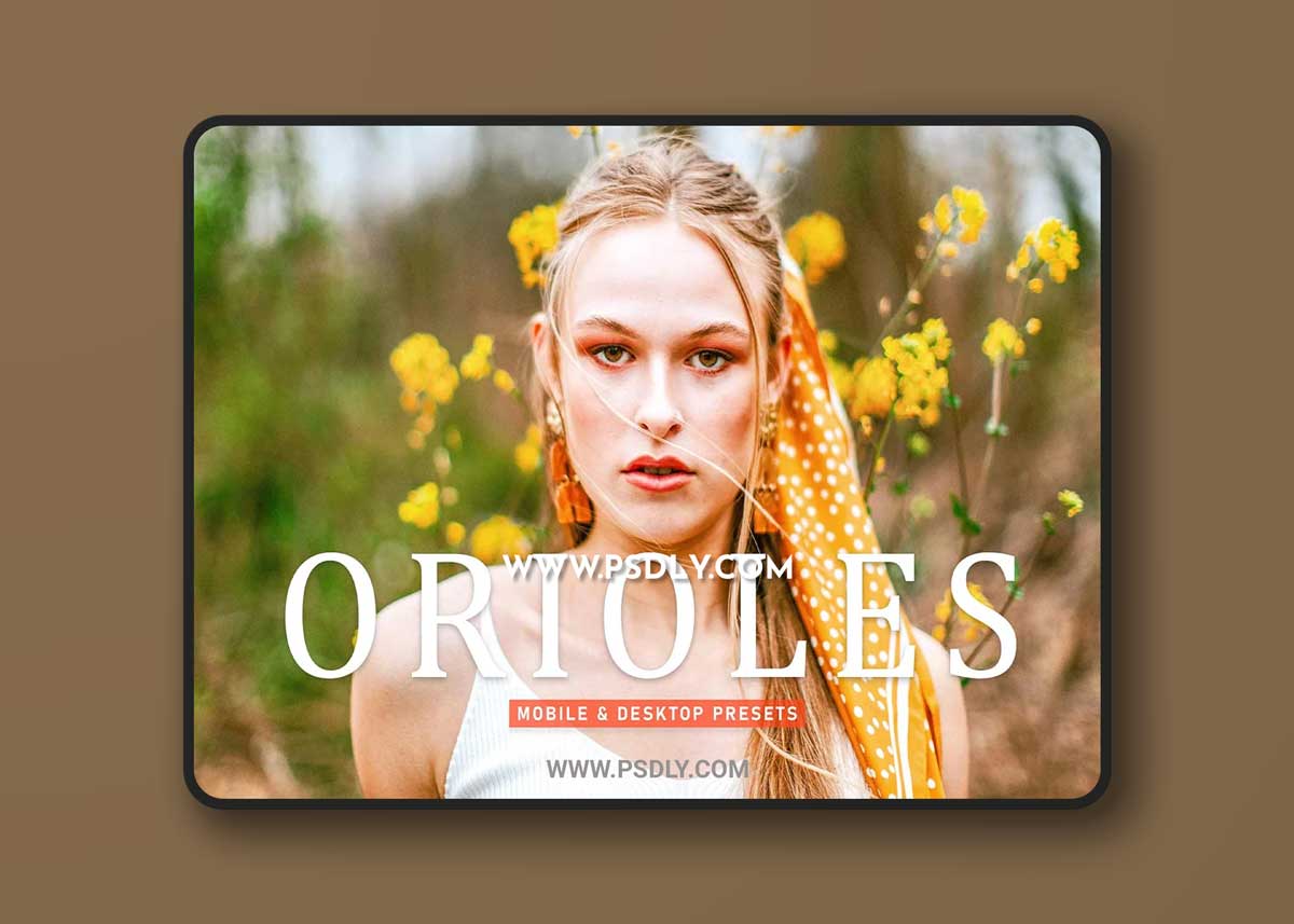 CreativeMarket - Orioles Pro Lightroom Presets 6924892 1 CreativeMarket - Orioles Pro Lightroom Presets 6924892