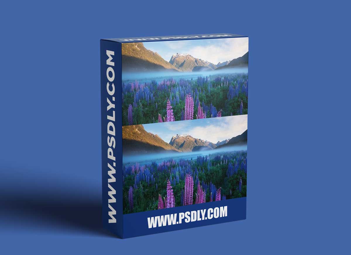 Landscape Photography Tutorials - Into The Light - 'Forest Episode' 1 Landscape Photography Tutorials - Into The Light - 'Forest Episode'
