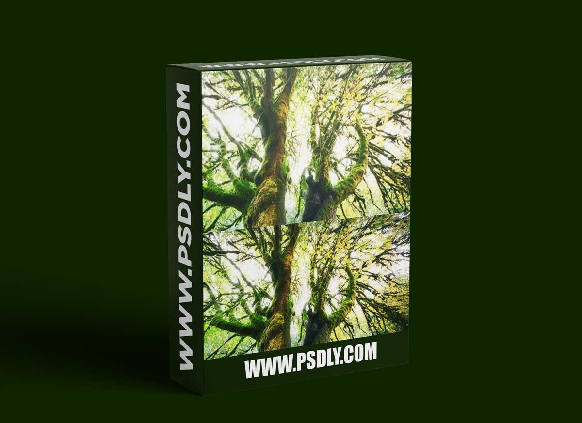 Luminosity Masking in Photoshop by Blake Rudis 1 Luminosity Masking in Photoshop by Blake Rudis