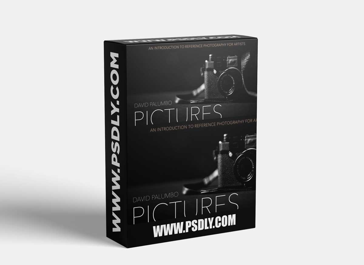 Reference Photography For Artists - David Palumbo 1 Reference Photography For Artists - David Palumbo