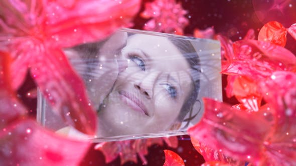 Videohive Wedding Fairy 5251521 1 Videohive Wedding Fairy 5251521
