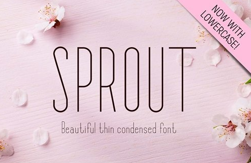 Sprout - Sans Serif Font 1 Sprout - Sans Serif Font