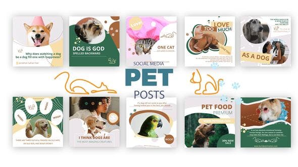 Videohive Social Media Pet Posts 35839370 1 Videohive Social Media Pet Posts 35839370