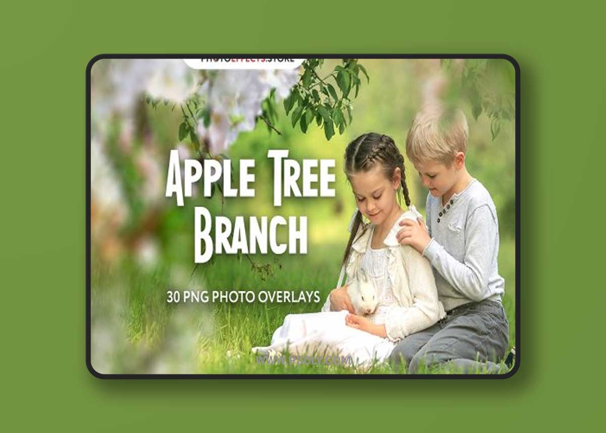 30 Apple Tree Branch Photo Overlays 1 30 Apple Tree Branch Photo Overlays