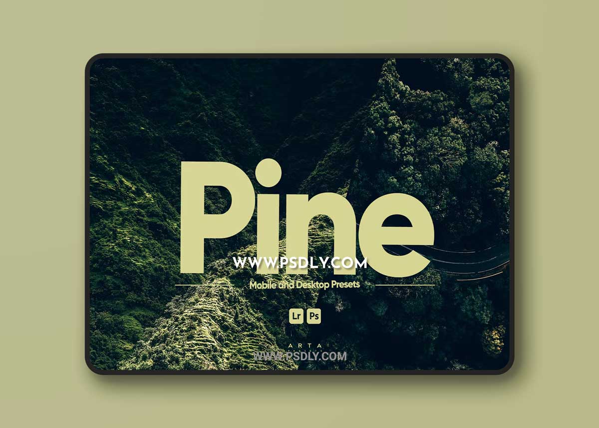 ARTA - Pine Presets for Lightroom 1 ARTA - Pine Presets for Lightroom