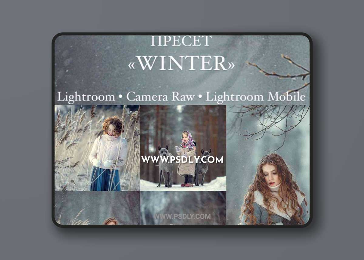 Anna Melnikova Photographer - Winter Preset 1 Anna Melnikova - Winter Preset
