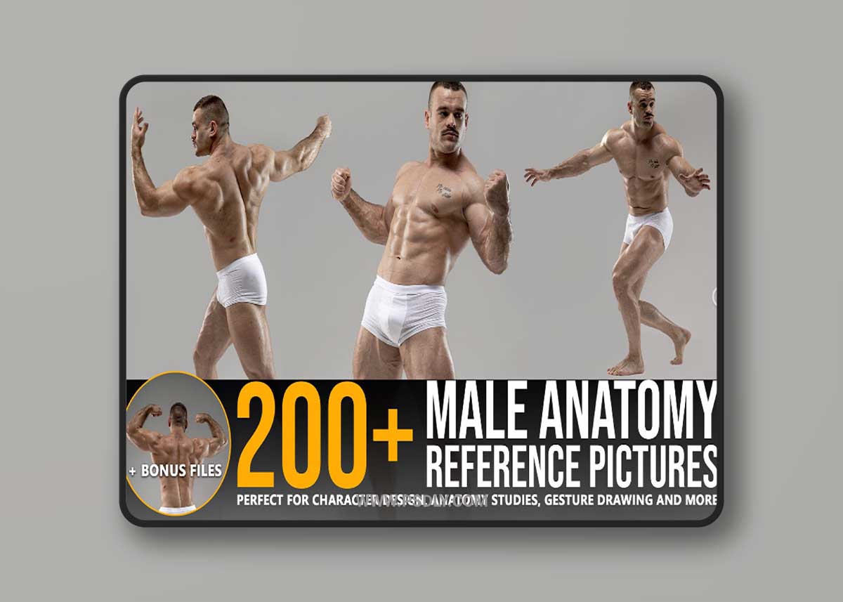ArtStation - Grafit Studio - 200+ Male Anatomy Reference Pictures 1 ArtStation - Grafit Studio - 200+ Male Anatomy Reference Pictures