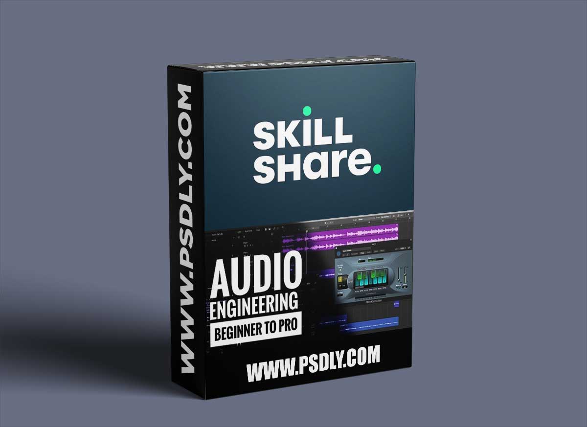 Audio Engineering: Beginner to Pro 1 Audio Engineering: Beginner to Pro