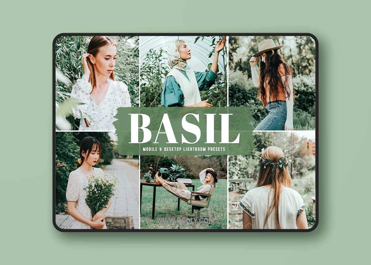 Basil Pro Lightroom Presets 1 Basil Pro Lightroom Presets