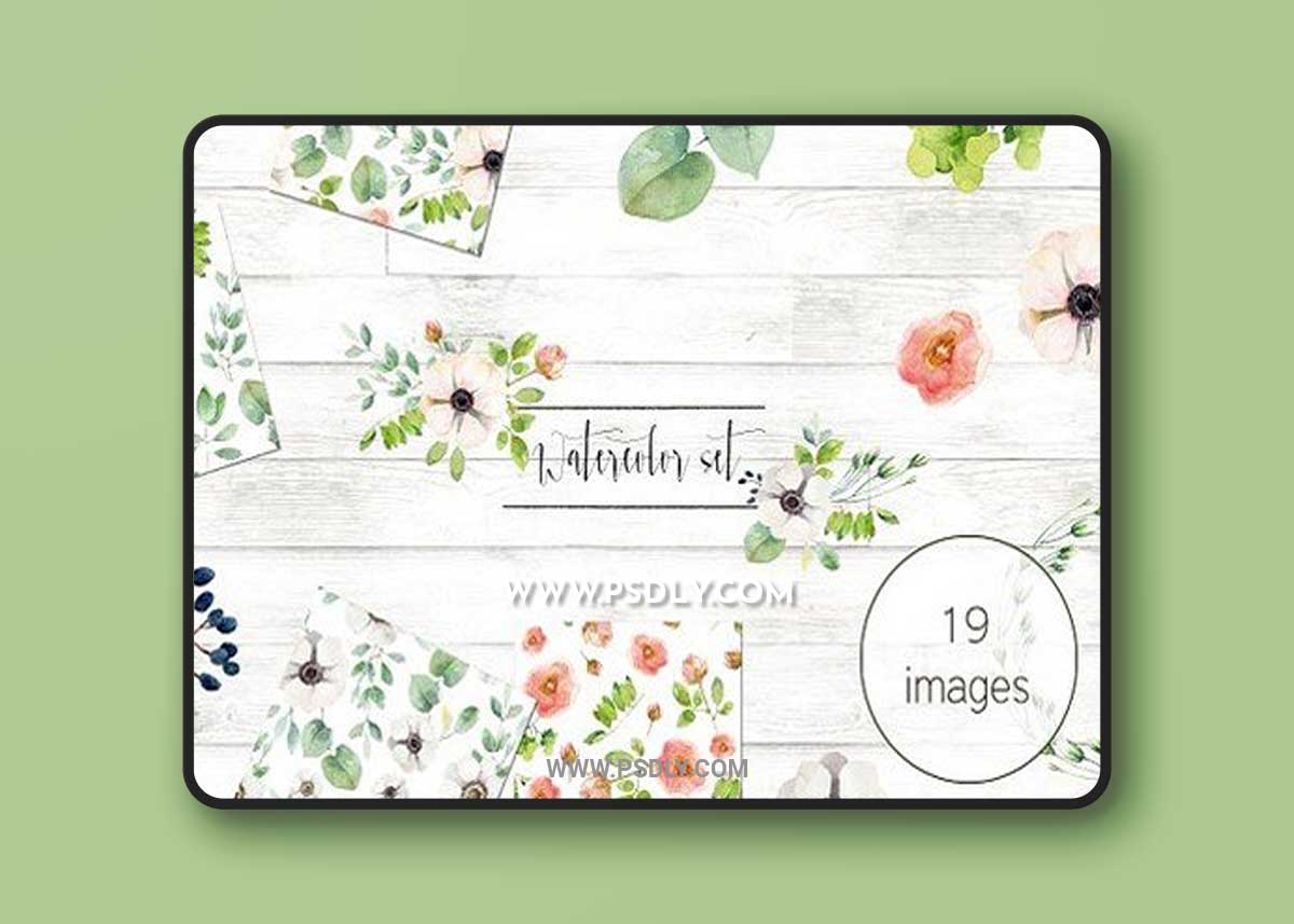 Big set with anemones Transparent PNG 1 Big set with anemones Transparent PNG
