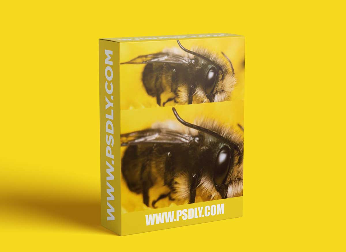 CreativeLive - Introduction to Macro Photography 1 CreativeLive - Introduction to Macro Photography