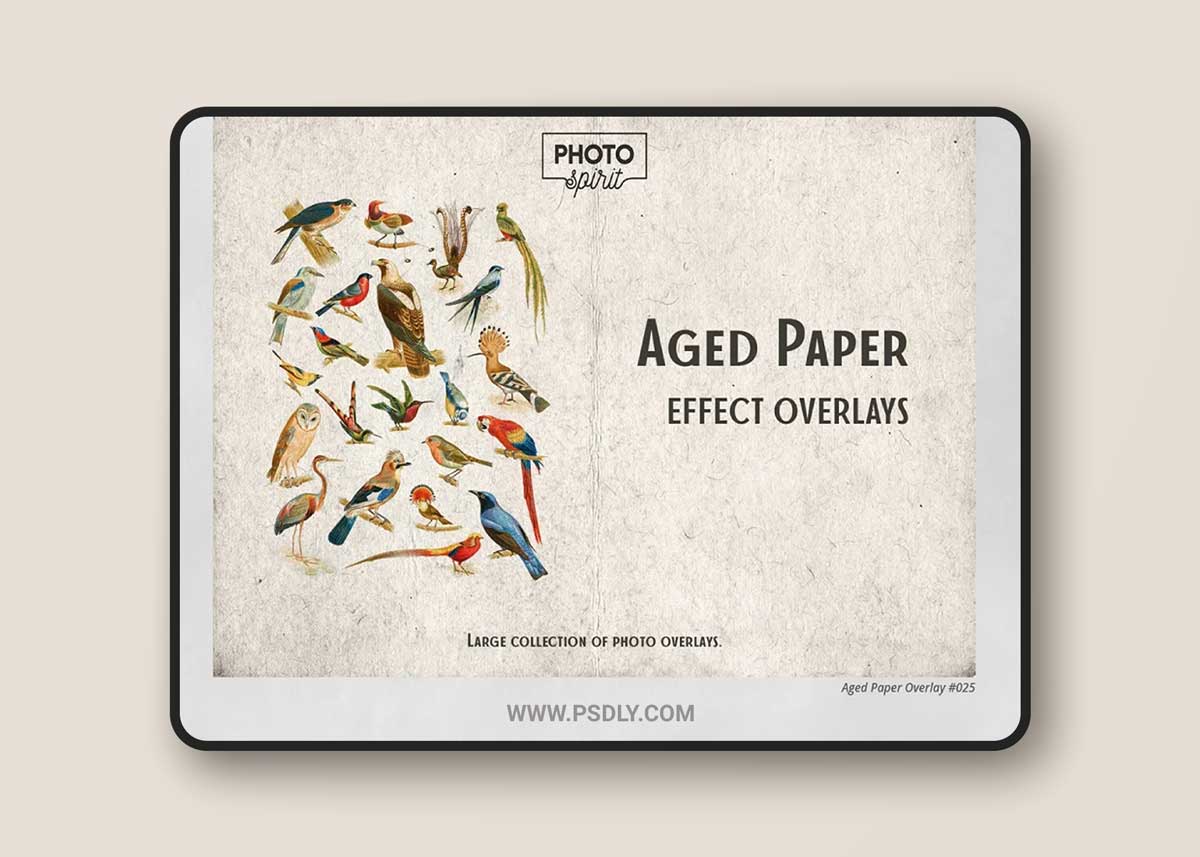 CreativeMarket - Aged Paper Effect Overlays 6916248 1 CreativeMarket - Aged Paper Effect Overlays 6916248