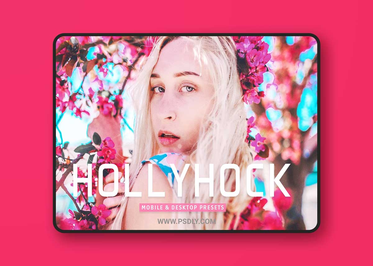 CreativeMarket - Hollyhock Pro Lightroom Presets 7039553 1 CreativeMarket - Hollyhock Pro Lightroom Presets 7039553