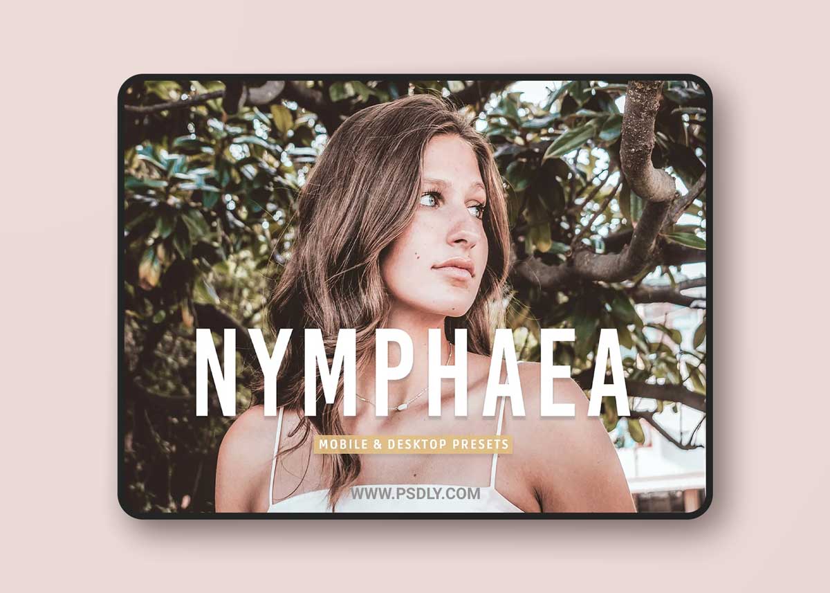 CreativeMarket - Nymphaea Pro Lightroom Presets 7039562 1 CreativeMarket - Nymphaea Pro Lightroom Presets 7039562