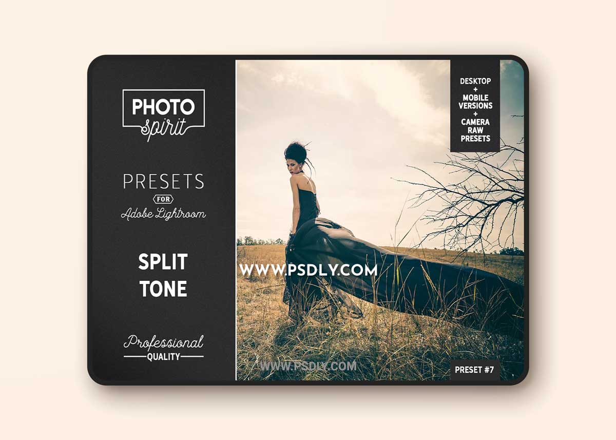 CreativeMarket - Split Tone Presets Mobile + Desktop 3718347 1 CreativeMarket - Split Tone Presets Mobile + Desktop 3718347