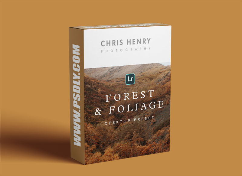 Forest & Foliage Preset - Desktop - Chris Henry Photography 1 Forest & Foliage Preset - Desktop - Chris Henry Photography