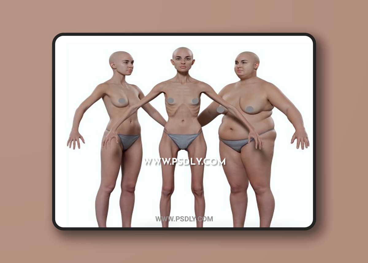 Morphable Female Base Mesh 1 Morphable Female Base Mesh