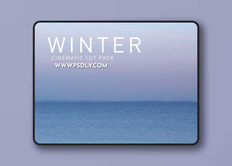 Noam Kroll — CINEMATIC LUTS: WINTER 1 Noam Kroll CINEMATIC LUTS WINTER