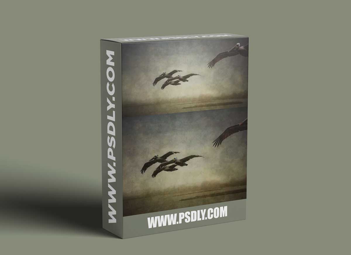 Photomorphis - PRO Tutorial: Silent Passage 1 Photomorphis - PRO Tutorial: Silent Passage
