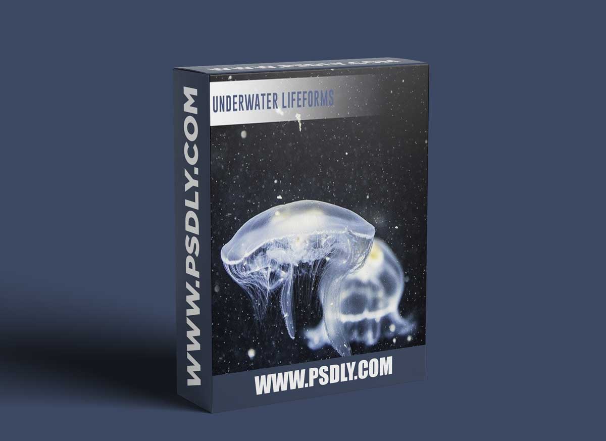 SFXtools Underwater Lifeforms WAV 1 SFXtools Underwater Lifeforms WAV