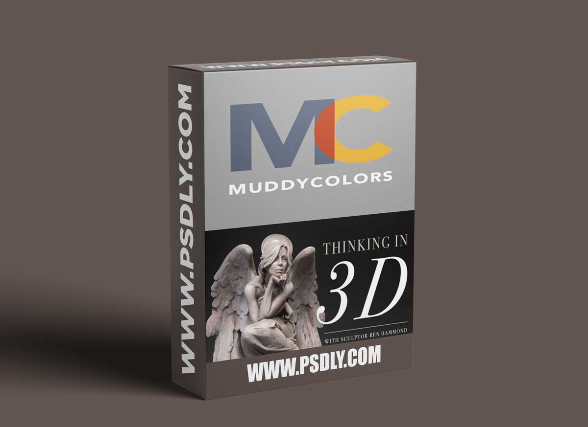THINKING IN 3D Muddycolors 1 THINKING IN 3D