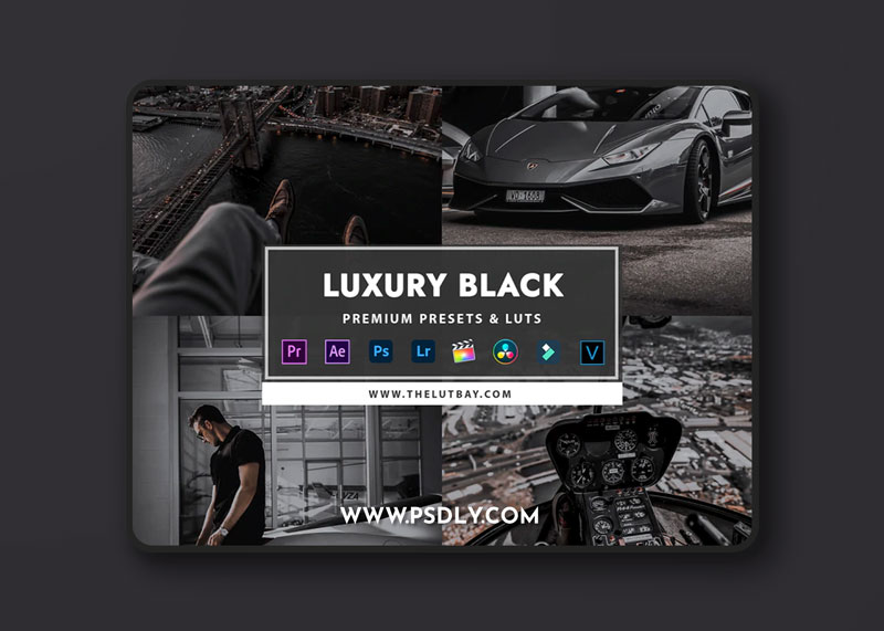 TheLutBay - Luxury Black Preset 1 TheLutBay Luxury Black Preset