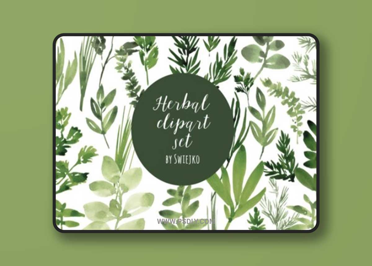 Watercolor Herbs, Basil, Oregano, Mint 1588182 1 Watercolor Herbs, Basil, Oregano, Mint 1588182