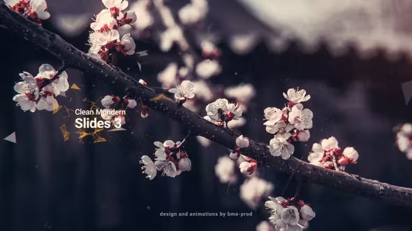 Videohive Clean Modern Slides 3 36643346 1 Videohive Clean Modern Slides 3 36643346