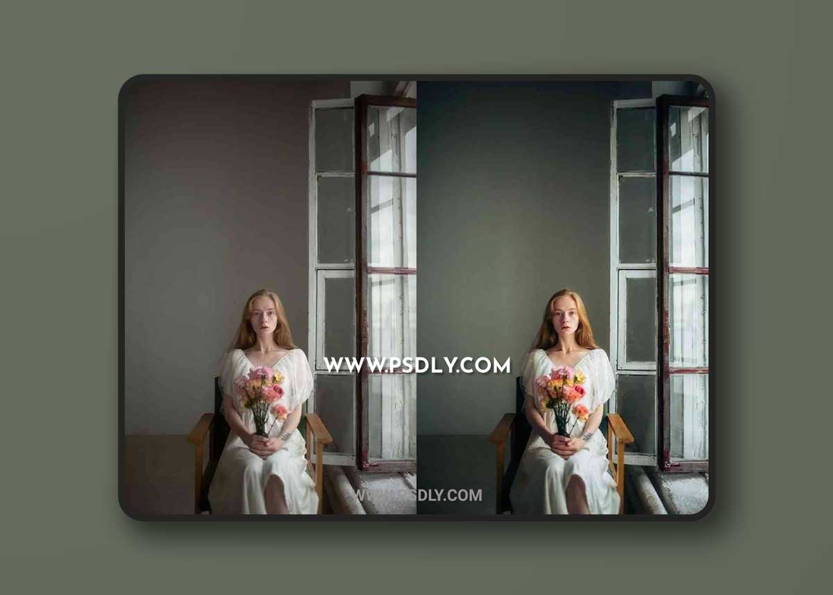 koleso_Sobaki - Lightroom Presets + Action 1 koleso_sobaki - Lightroom Presets + Action