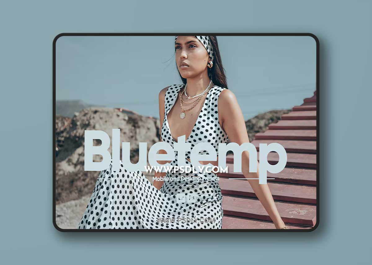 ARTA - Bluetemp Presets for Lightroom 1 ARTA - Bluetemp Presets for Lightroom