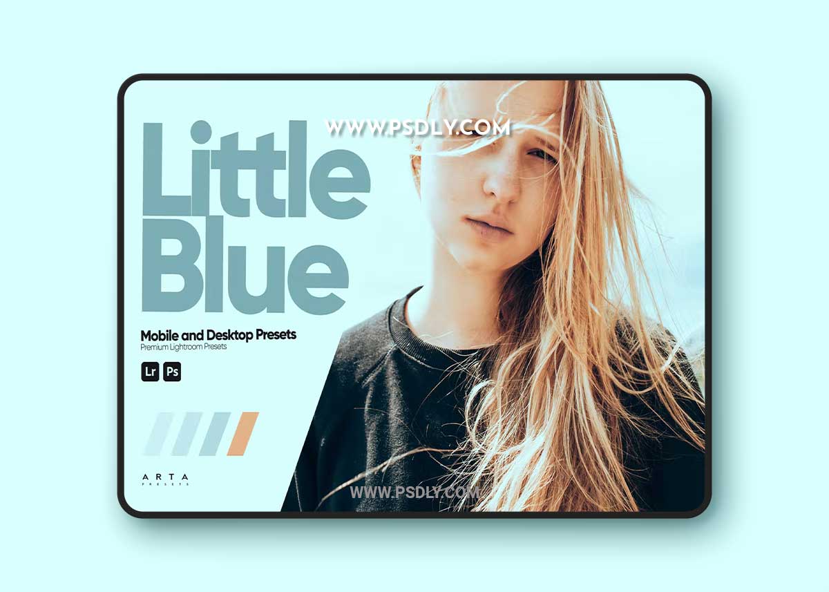 ARTA - Little Blue Presets for Lightroom 1 ARTA - Little Blue Presets for Lightroom