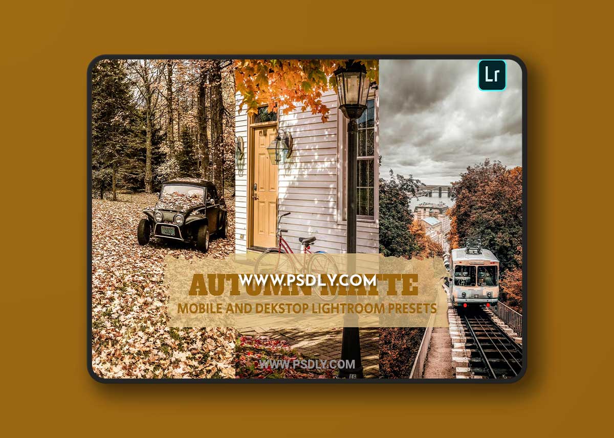 Autumn Matte Lightroom Presets Dekstop and Mobile 1 Autumn Matte Lightroom Presets Dekstop and Mobile