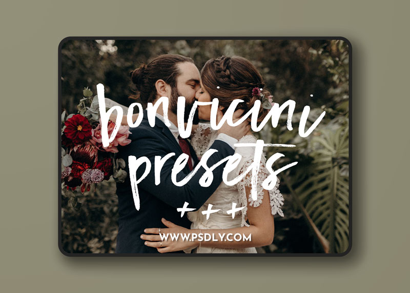 BONVICINI LR Presets — victoria bonvicini photography 1 BONVICINI LR Presets victoria bonvicini photography