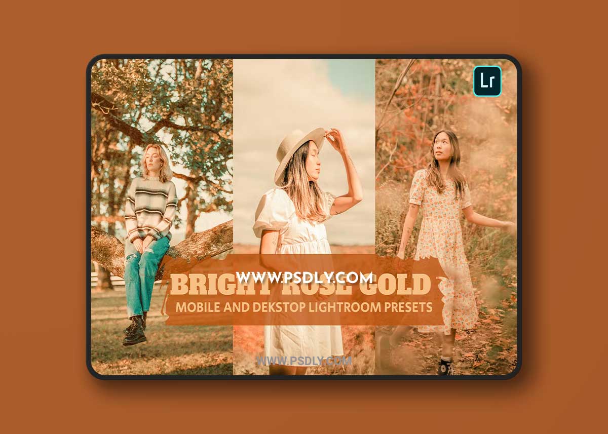 Bright Rose Gold Lightroom Presets Dekstop Mobile 1 Bright Rose Gold Lightroom Presets Dekstop Mobile